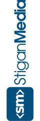 Stigan Media Web Design Agency in Vancouver, BC